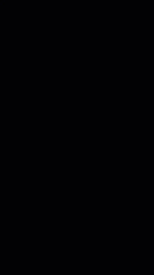 petir-koi.webp