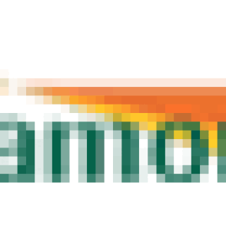 danamongadai