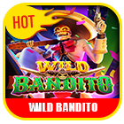 wild-bandito.png